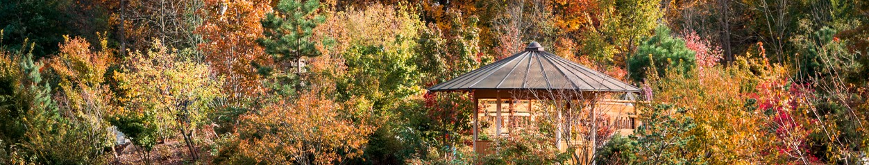 Maryland Japanese Gardens